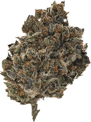 Miracle Fruit